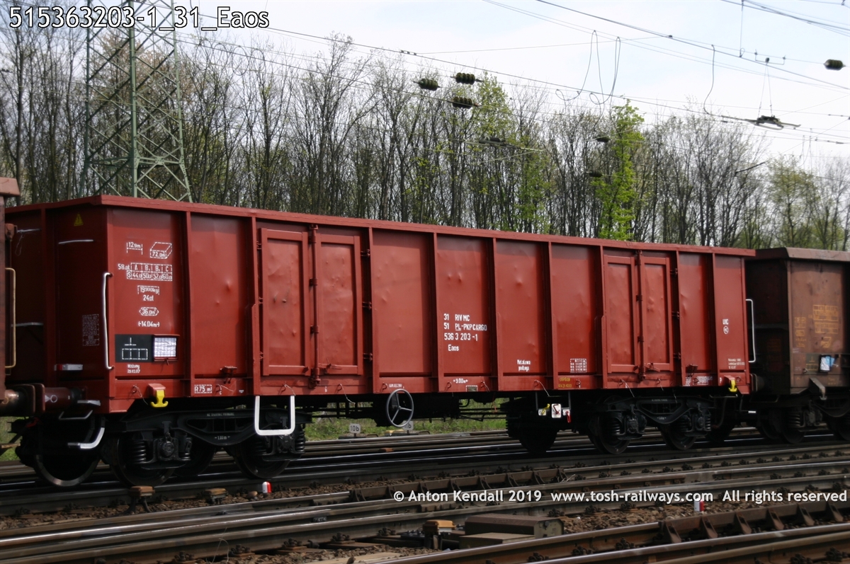 515363203-1_31_Eaos.jpg